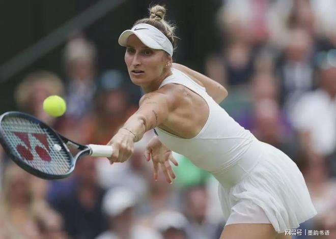 在这篇文章 在这篇文章