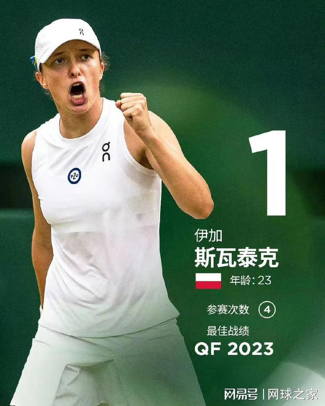 在混合4 在混合4