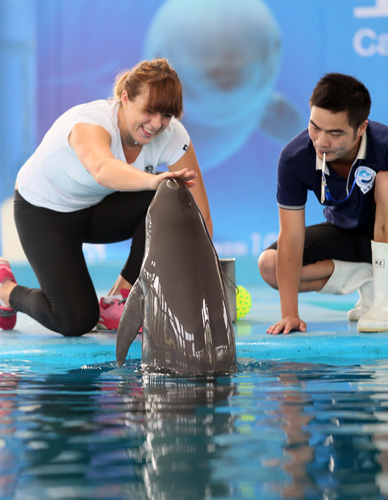 暂时中断使 暂时中断使