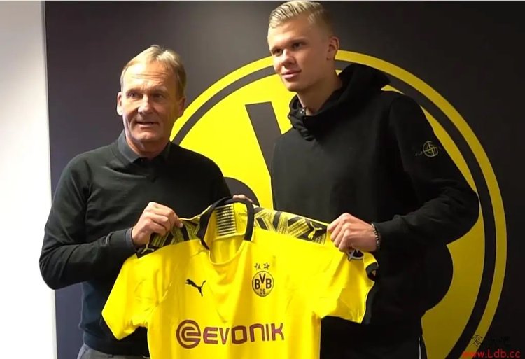 契合前提下 契合前提下